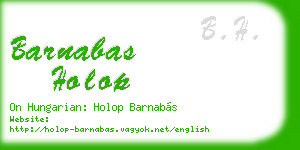 barnabas holop business card
